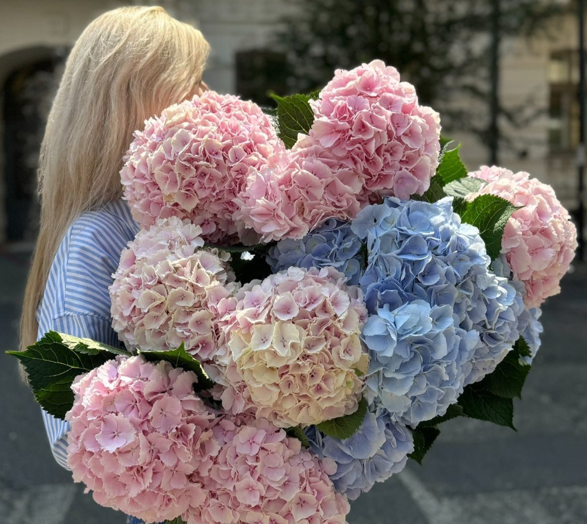 Bukiety z hortensji, hortensje do wazonu - Flower Store