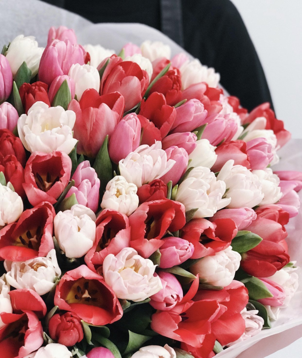 Bukiet pełnych 100 tulipanów - kwiaty Flower Store Warszawa