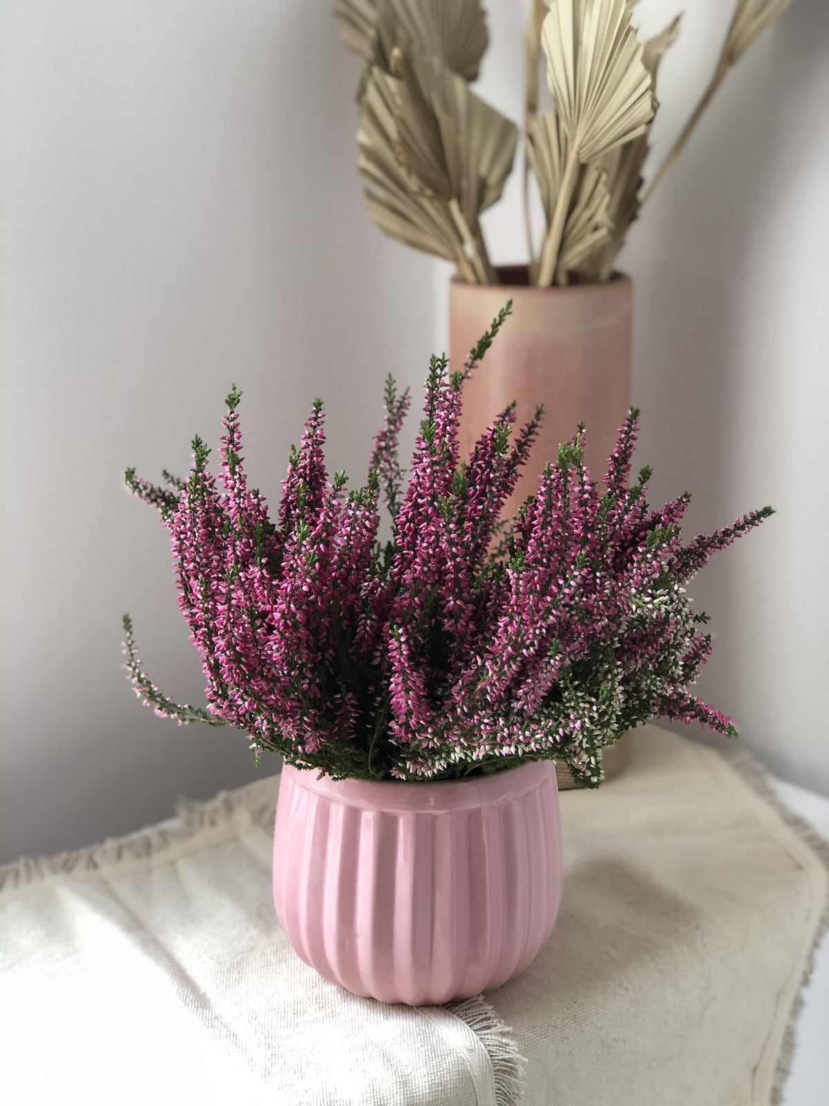 Wrzosy w różowej ceramicznej donicy