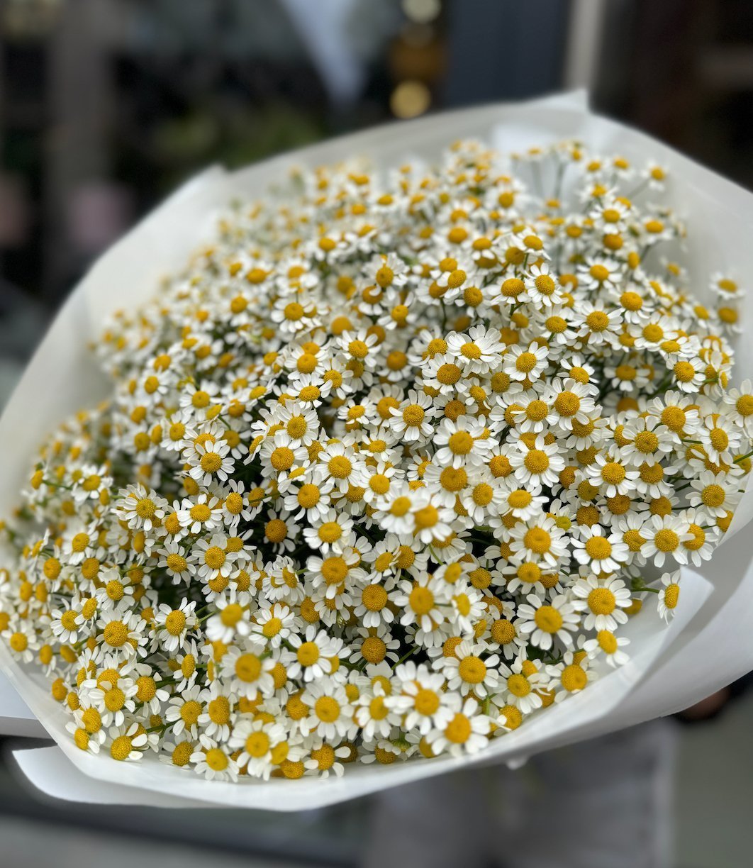 Kwiaty na Dzień Babci i Dziadka - Flower Store
