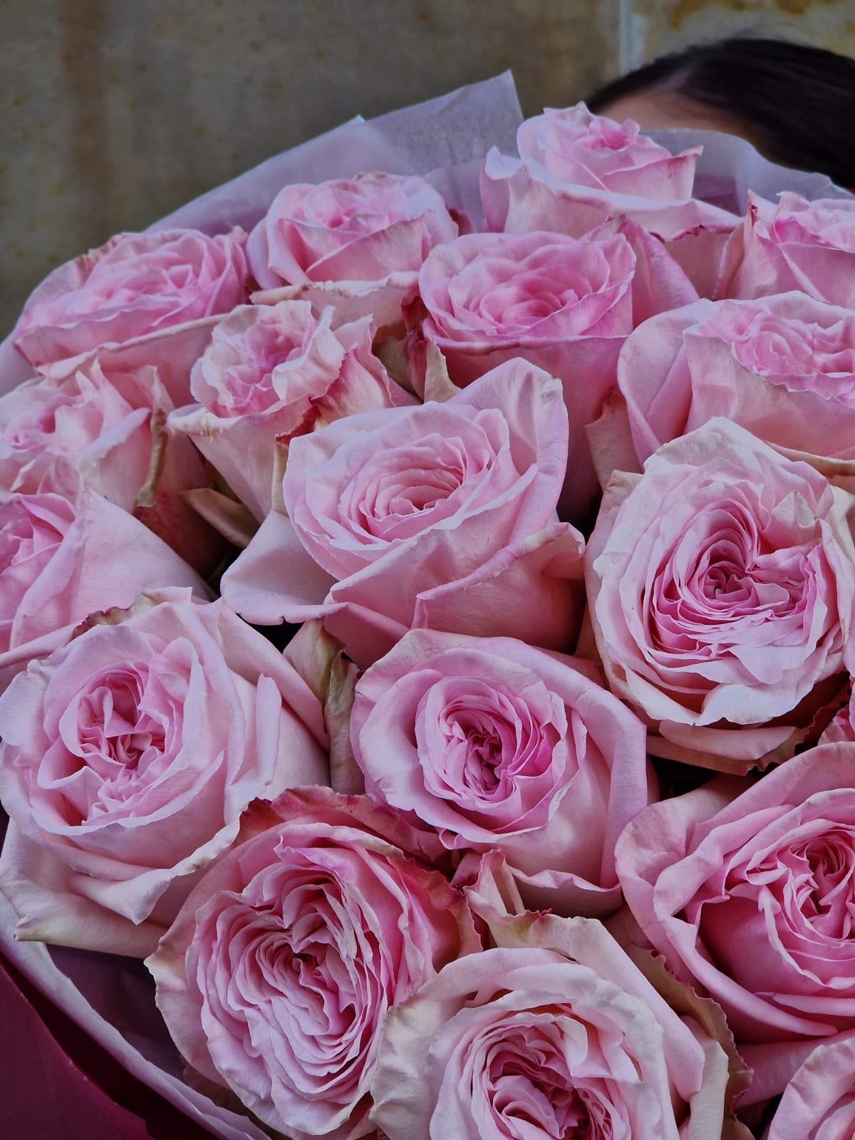 Róża Pink Ohara - kwiaty Flower Store Warszawa