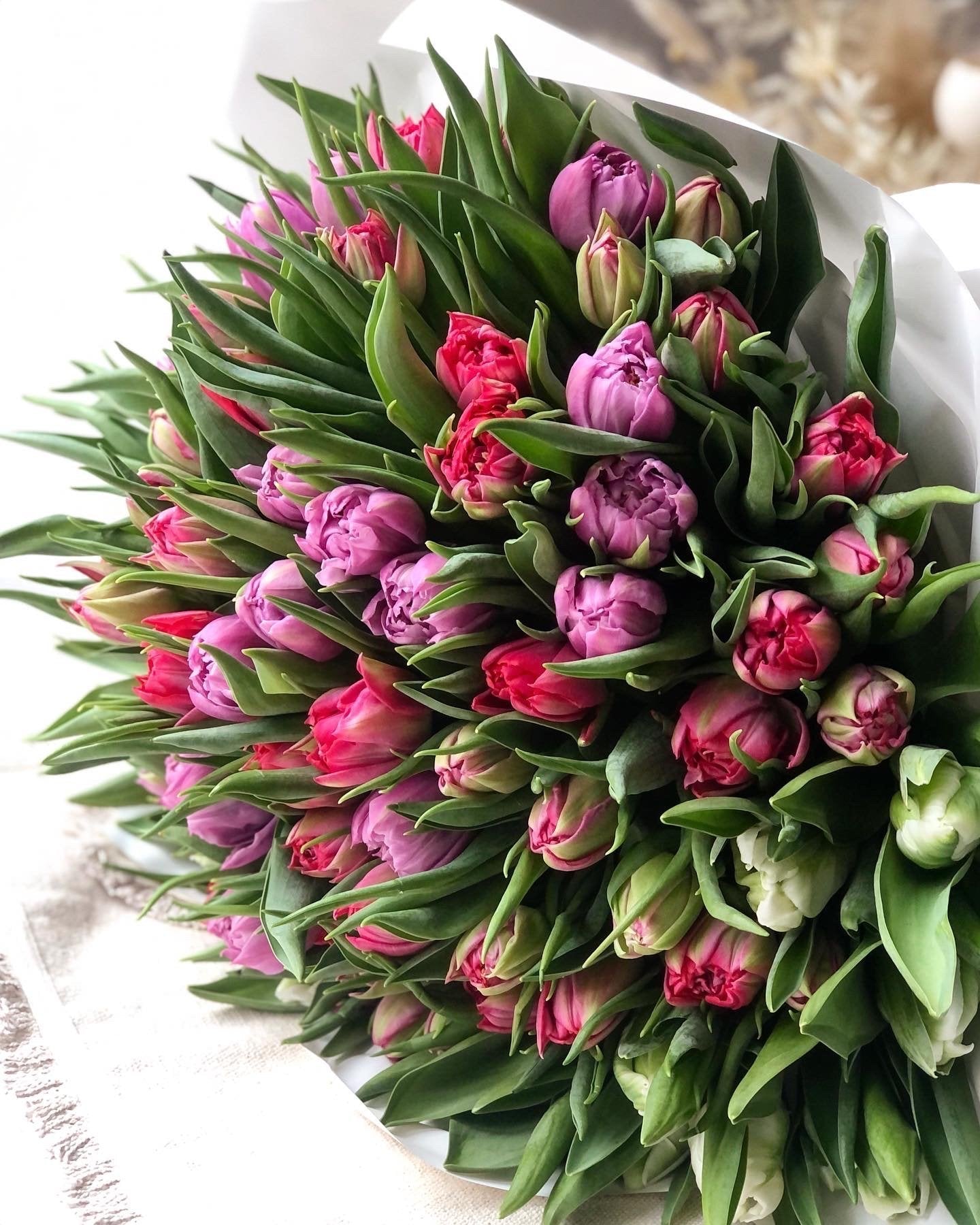 Bukiet pełnych 100 tulipanów - kwiaty Flower Store Warszawa
